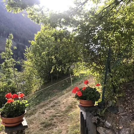 Genzianella Appartement *